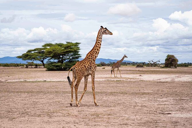 West Kilimanjaro Cycling Adventures - Health and Safety