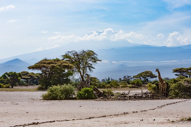 West Kilimanjaro Cycling Adventures - Transportation and Accessibility