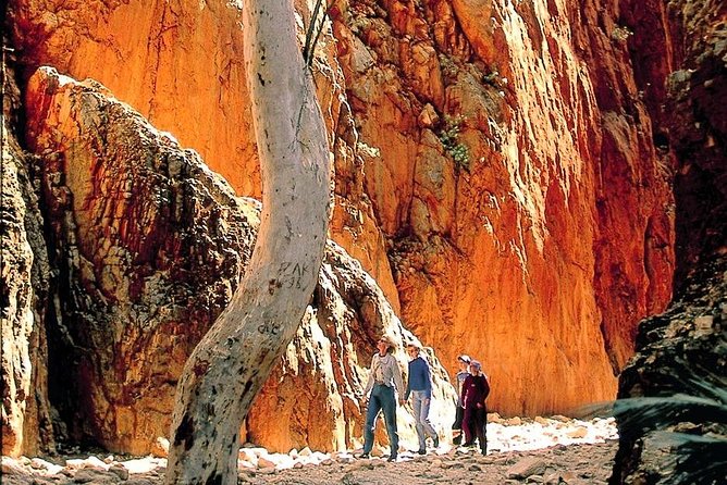 West Macdonnell Ranges Day Trip From Alice Springs - Sunset Camel Ride Option