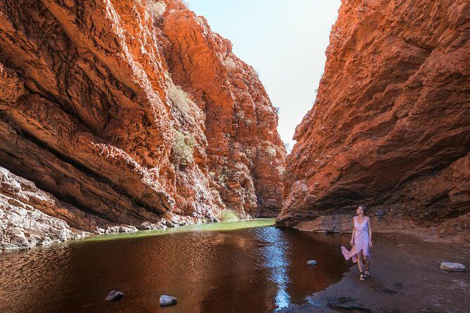 West MacDonnell Ranges- Half Day Trip from Alice Springs - Transport, Timing, and Group Size