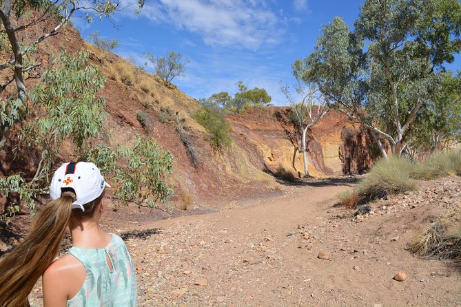 West MacDonnell Ranges Small-Group Full-Day Guided Tour - Rare Desert Wildlife