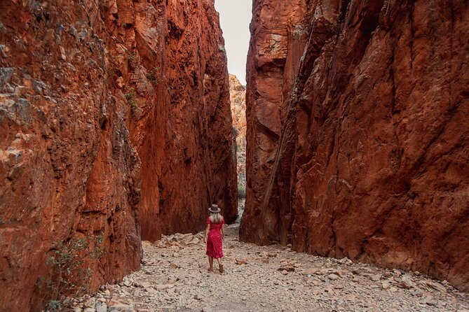 West Macdonnell Ranges & Standley Chasm Day Trip From Alice Springs - Key Points