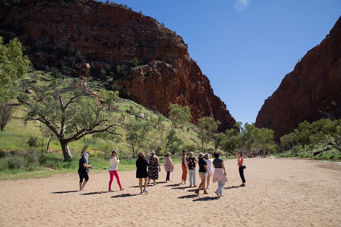West Macdonnell Ranges & Standley Chasm Day Trip From Alice Springs - Customer Feedback