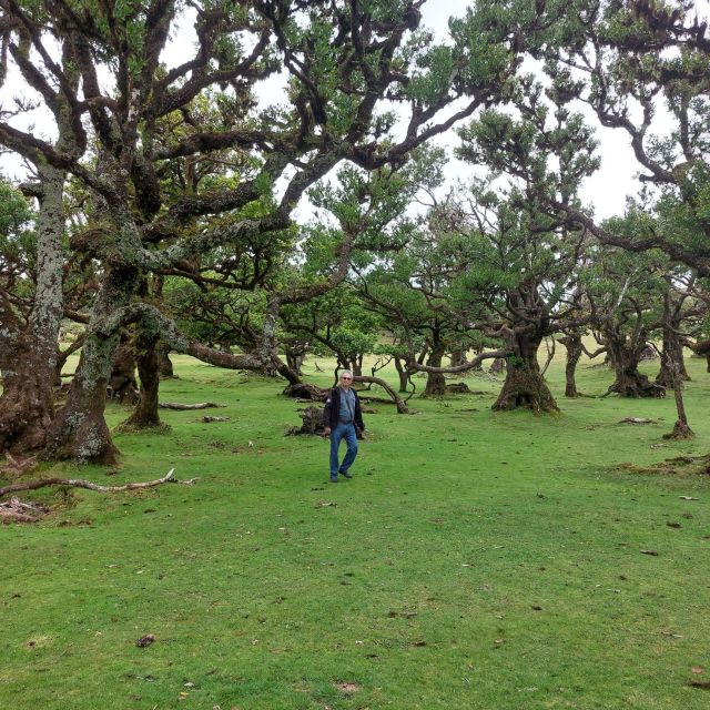 West Madeira:, Laurel Forest, Waterfall, Rock Pools, Walk - Cultural Immersion and Exploration
