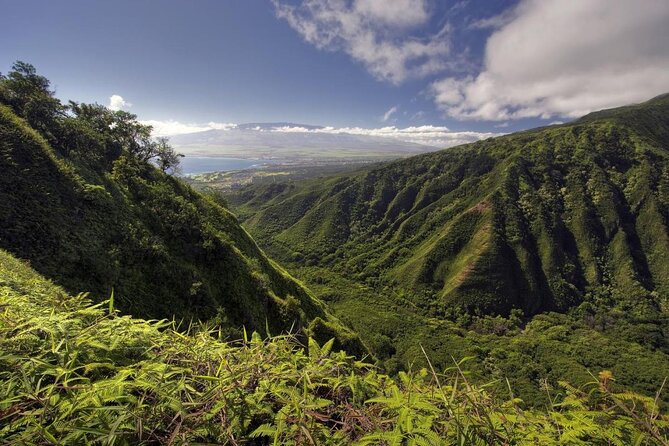 West Maui Adventure Tour With Private Guide - Key Points
