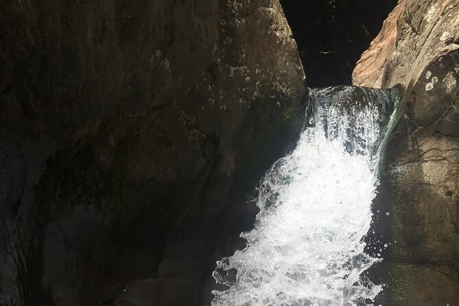 West Maui Adventure Tour With Private Guide - Health and Accessibility Information