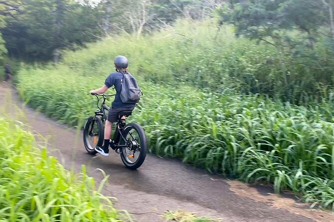 West Maui Ebike Island Explorer Full-Day Rental - Included Equipment and Features