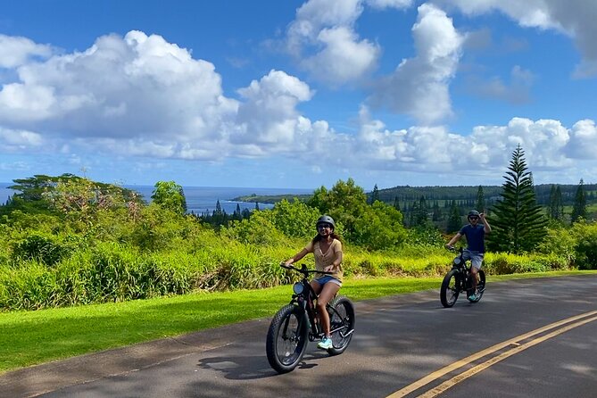 West Maui Ebike Self-Guided Island Adventure Tour - Reviews and Ratings