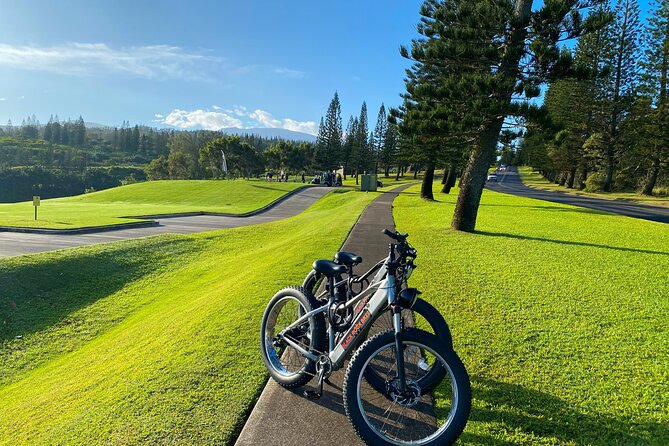 West Maui Electric Bike Rentals - Meeting Point and Return