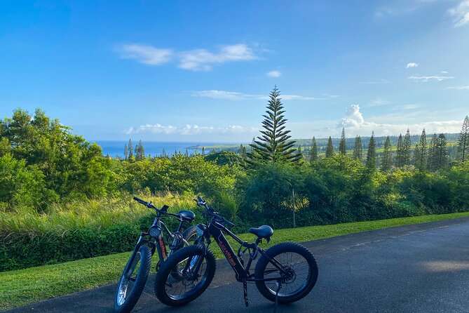 West Maui Electric Bike Rentals - Fitness and Kid Carriers