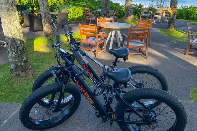 West Maui Electric Bike Rentals - Rental Pricing and Flexibility