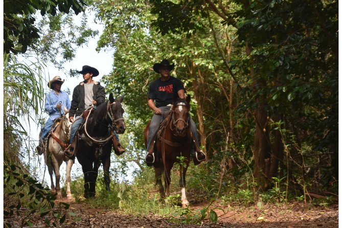 West Maui Mountain Waterfall and Ocean Tour via Horseback - Meeting and Pickup