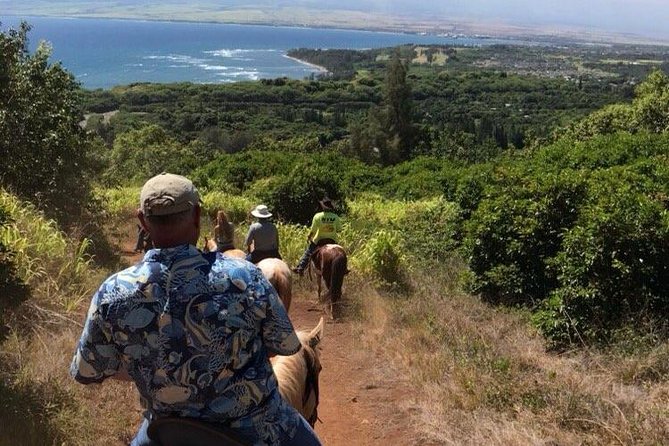 West Maui Mountain Waterfall and Ocean Tour via Horseback - What to Expect