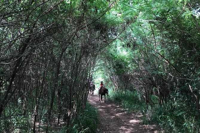 West Maui Mountain Waterfall and Ocean Tour via Horseback - Additional Information