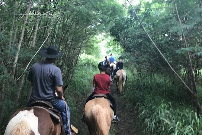 West Maui Mountain Waterfall and Ocean Tour via Horseback - Positive Reviews