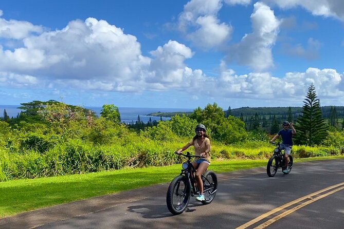 West Maui: Self-Guided E-Bike Kapalua Jungle Adventure Tour - Cancellation and Flexibility
