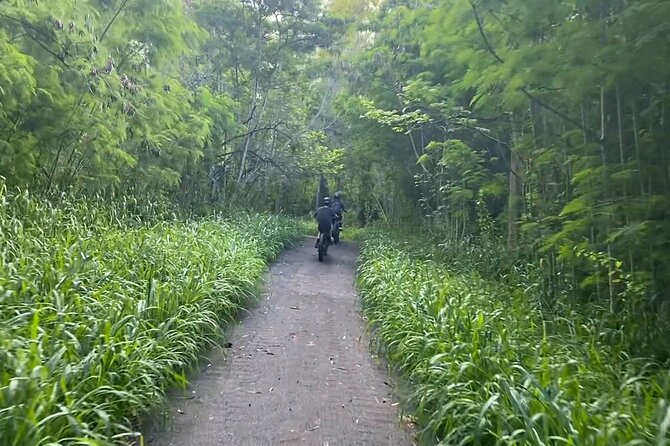 West Maui: Self-Guided E-Bike Kapalua Jungle Adventure Tour - Customer Reviews and Feedback