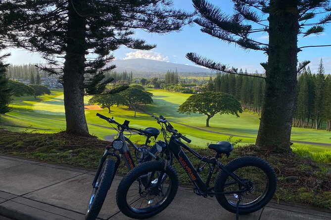 West Maui: Self-Guided E-Bike Kapalua Jungle Adventure Tour - Navigating the Self-Guided Route