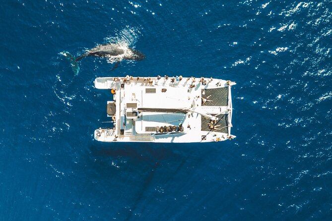 West Maui Snorkel & Sail From Maalaea Harbor - Included Amenities and Gear