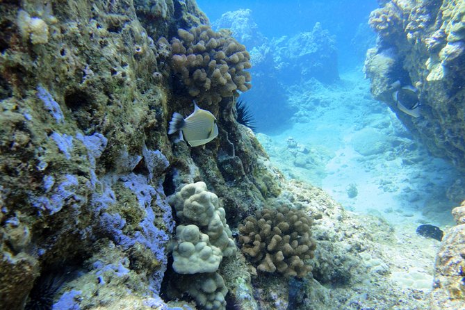 West Maui Snorkeling Experience by Boat From Kaanapali - Meeting and Pickup Details