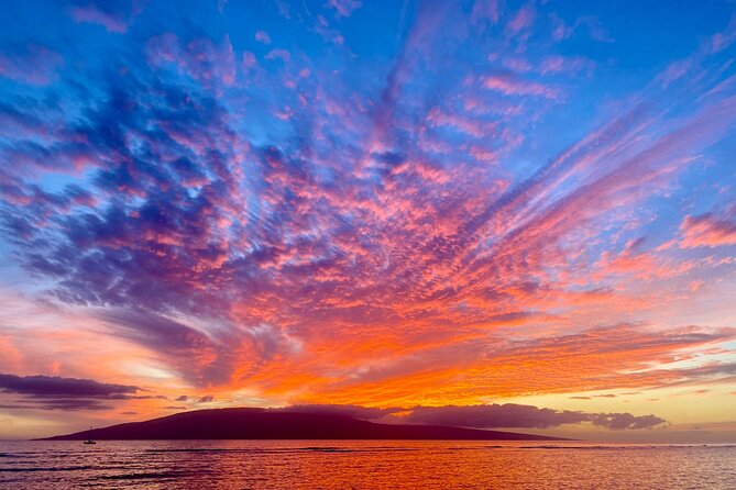 West Maui Sunset Whale Watch - Guest Reviews and Feedback
