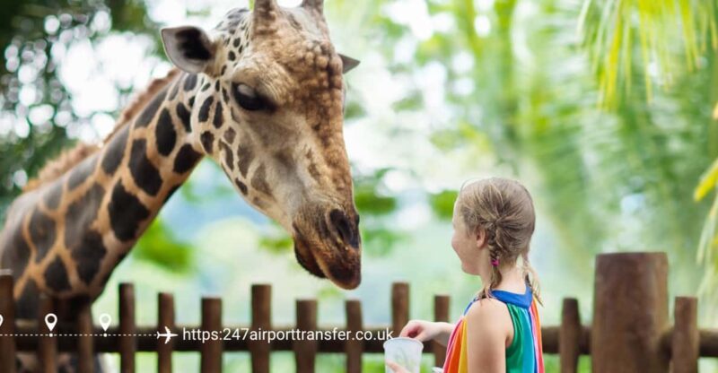 West Midland Safari Park Adventure: a Day With Wildlife - Animal Kingdom Exploration