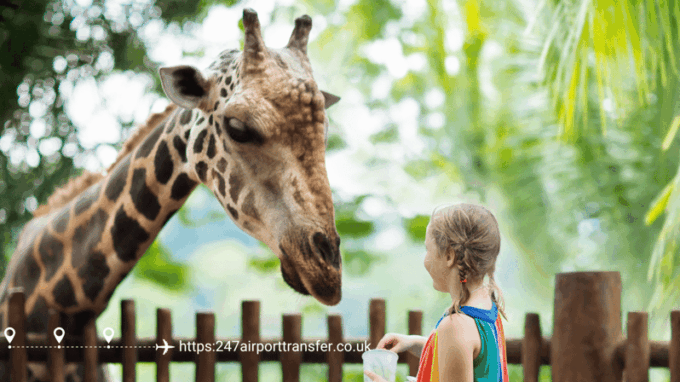 West Midland Safari Park Adventure: a Day With Wildlife - Dining and Refreshment Options