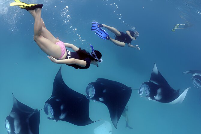 West Nusa Penida Island Snorkeling Tour - From Bali Island - Enjoy Local Lunch