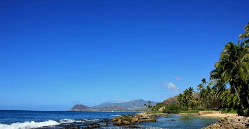 West Oahu: Dolphin Watch & Snorkel Sail - An In-Depth Look at the Experience