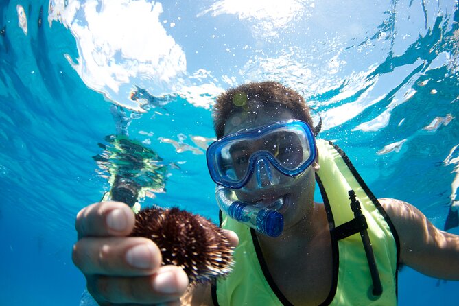 West Oahu Hawaiian Green Sea Turtle, Dolphin Snorkel Sail W Lunch - Meeting and Pickup Logistics