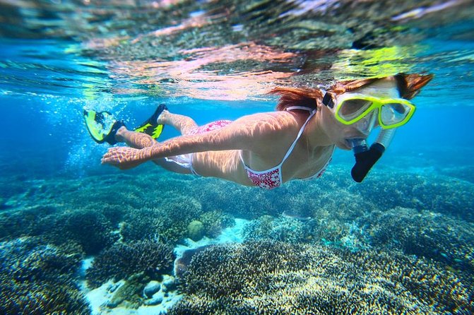 West Oahu Hawaiian Green Sea Turtle, Dolphin Snorkel Sail W Lunch - Accessibility and Age Restrictions