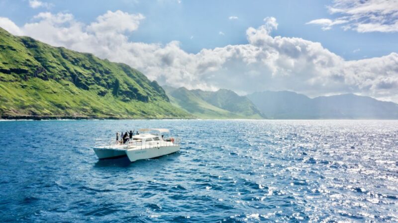West Oahu: Swim With Dolphins Catamaran Cruise - Cruise Details and Highlights