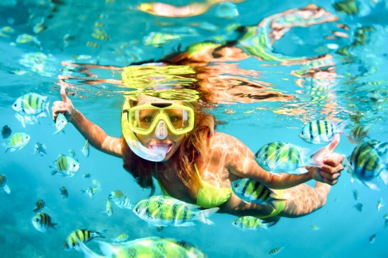 West Oahu: Turtles, Dolphins, and Snorkeling Tour With Lunch - Key Points