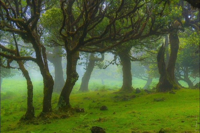 West of Madeira | Full Day 4x4 Tour - How to Book