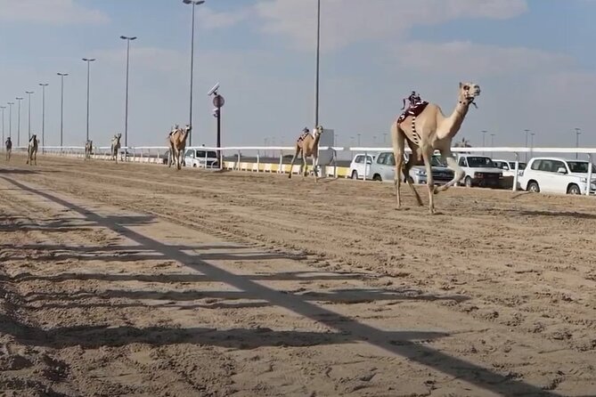 West Of Qatar, Mushroom Rocks, Camel Racing Track, Richard Serra - Booking Details