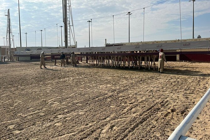 West Of Qatar, Mushroom Rocks, Camel Racing Track, Richard Serra - Commitment to Improve