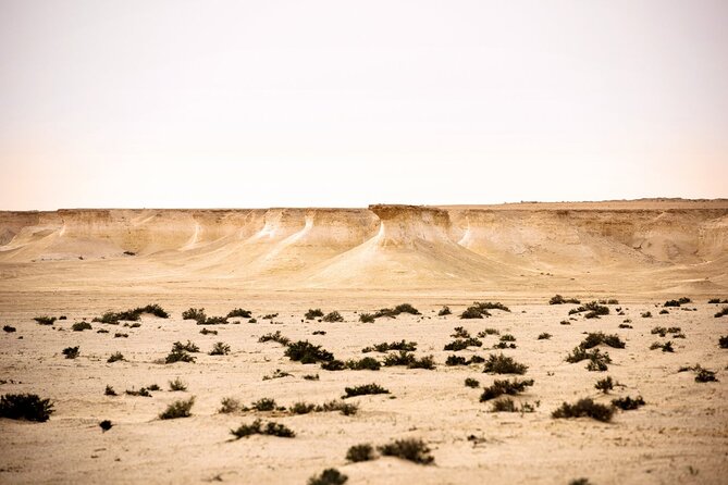 West of Qatar Tour || Richard Serra || Mushroom Rock Formation - Attractions and Destinations