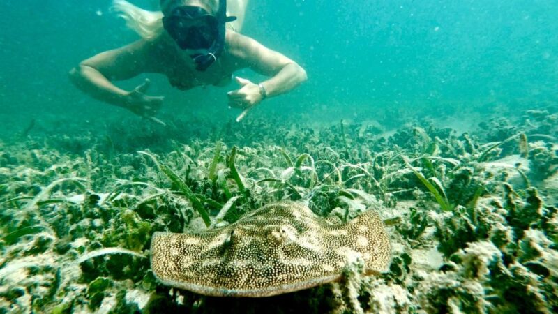 West Palm Beach: Beginner Scuba Diving With Videos - What to Expect During the Dive