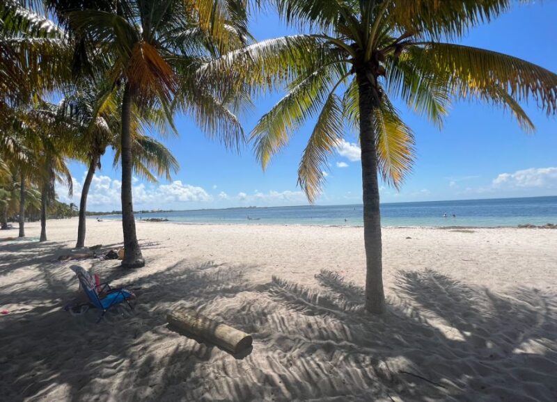 West Palm Beach: Beginner Snorkeling With Turtles & Videos - Key Points