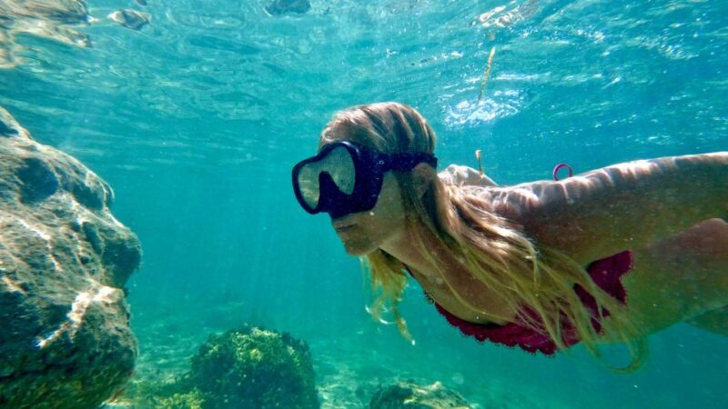 West Palm Beach: Beginner Snorkeling With Turtles & Videos - Vibrant Underwater Ecosystems