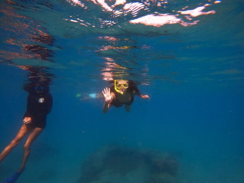 West Palm Beach: Blue Heron Bridge Guided Snorkeling Tour - Key Points