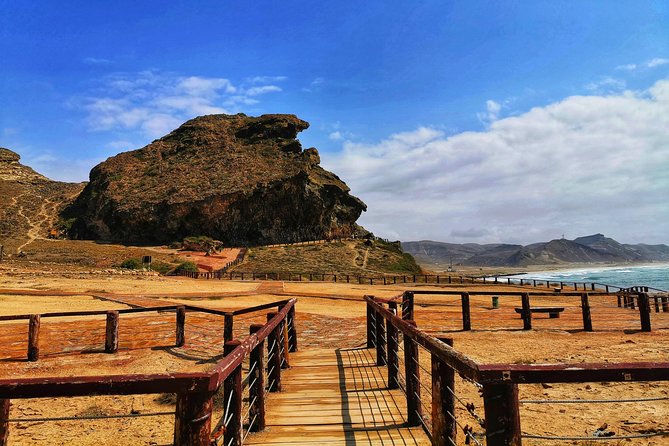 West Salalah, Al Mughsail Beach, White Beach, Frankincense Tree (Half Day Tour) - Key Highlights