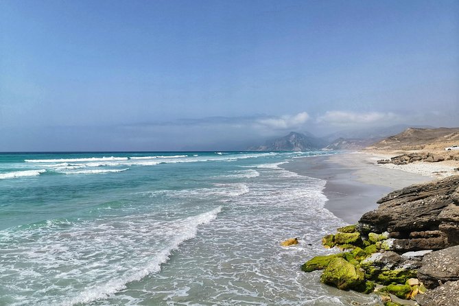 West Salalah, Al Mughsail Beach, White Beach, Frankincense Tree (Half Day Tour) - Includes