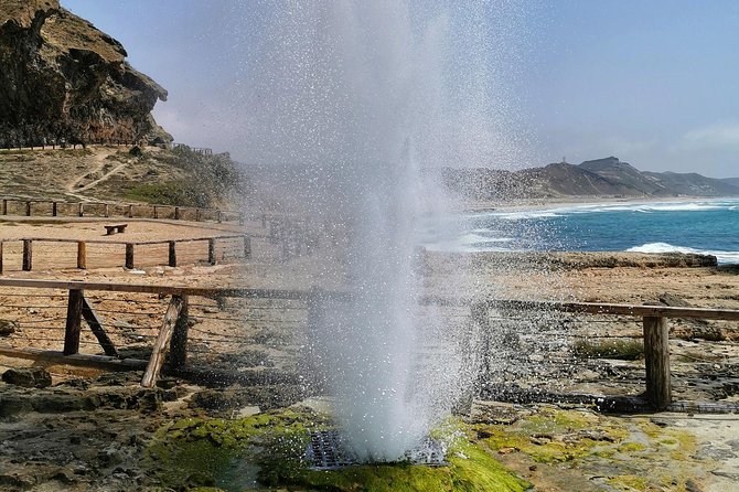 West Salalah, Al Mughsail Beach, White Beach, Frankincense Tree (Half Day Tour) - Ayn Razat Spring