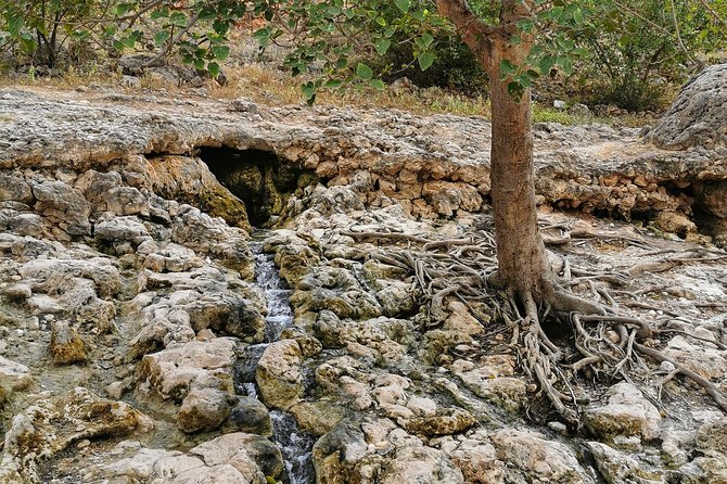 West Salalah, Al Mughsail Beach, White Beach, Frankincense Tree (Half Day Tour) - Marnif Cave and Lagoon