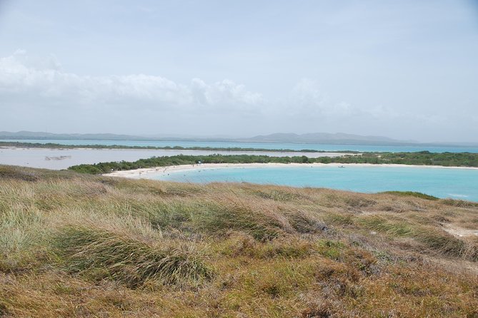 West Side Experience Puerto Rico Day Tour - Knowledgeable Guide