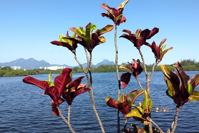 West Side Story of Rio: Barra Da Tijuca, Its Natural and Cultural Attractions. - Key Points