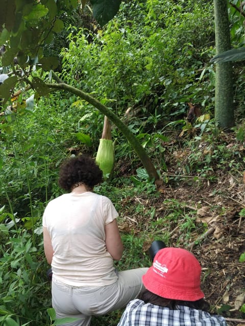 West Sumatra : Rafflesia Biggest Flower in the Planet Tour - Preparation and Information
