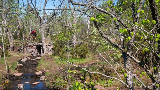 West Sweden: Mountainbike Monday - Pricing and Cancellation