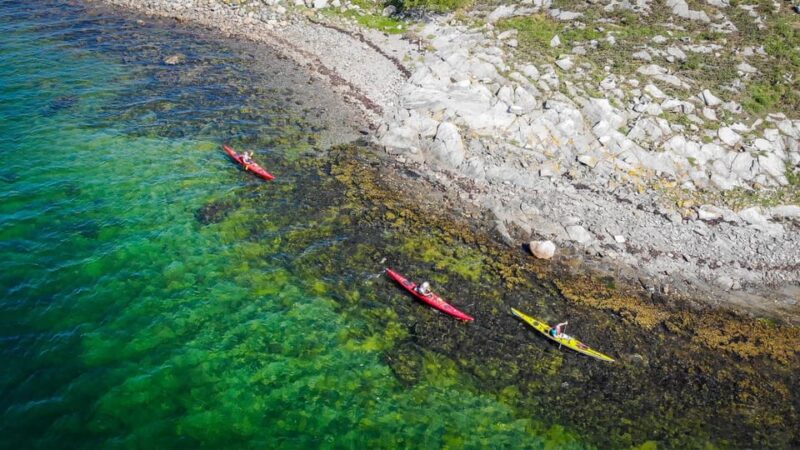 West Sweden: Paddle With Seals - Paddling Equipment